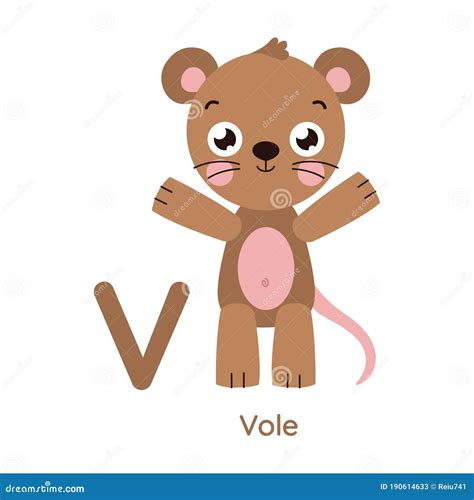 vole v alphabet.